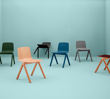 Vestibulum auctor tortor